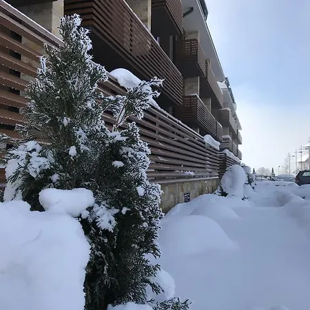 Lux Janjic * Zlatibor