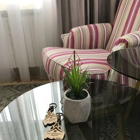 Lux Janjic Apartment